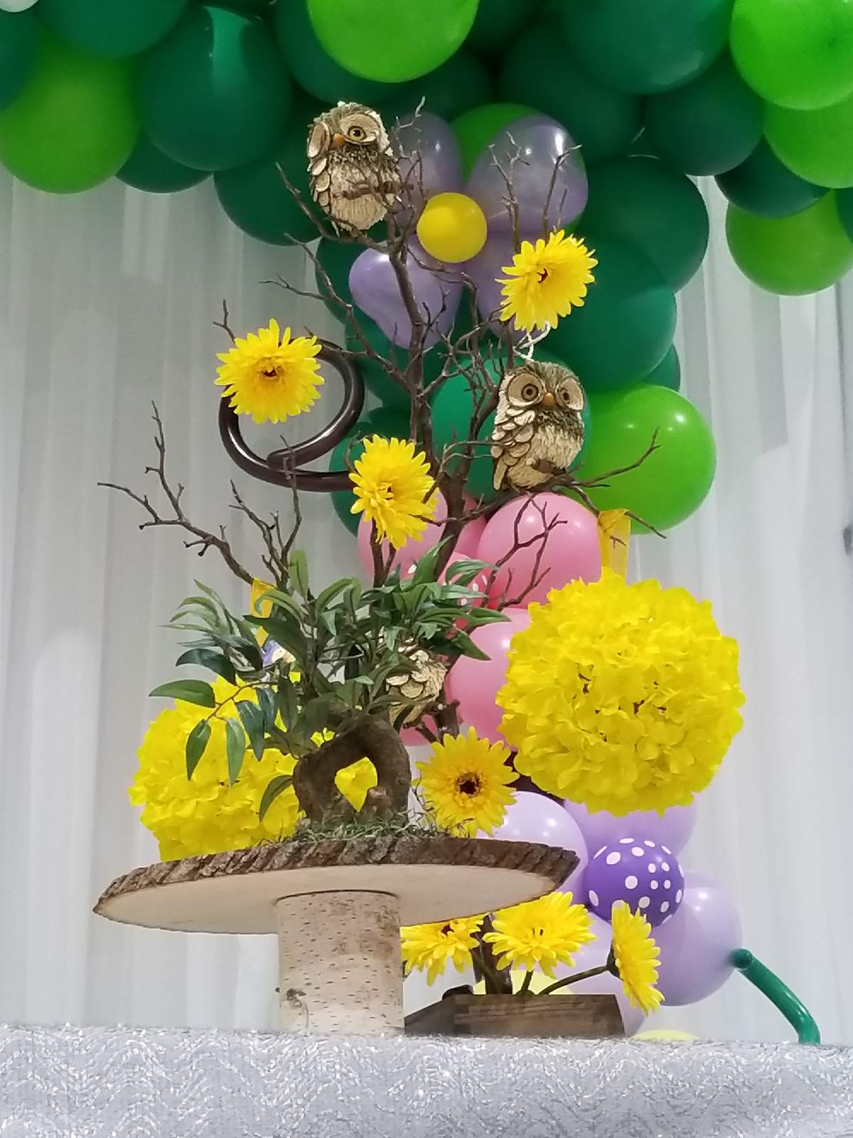 Baby Shower Owl - Owls