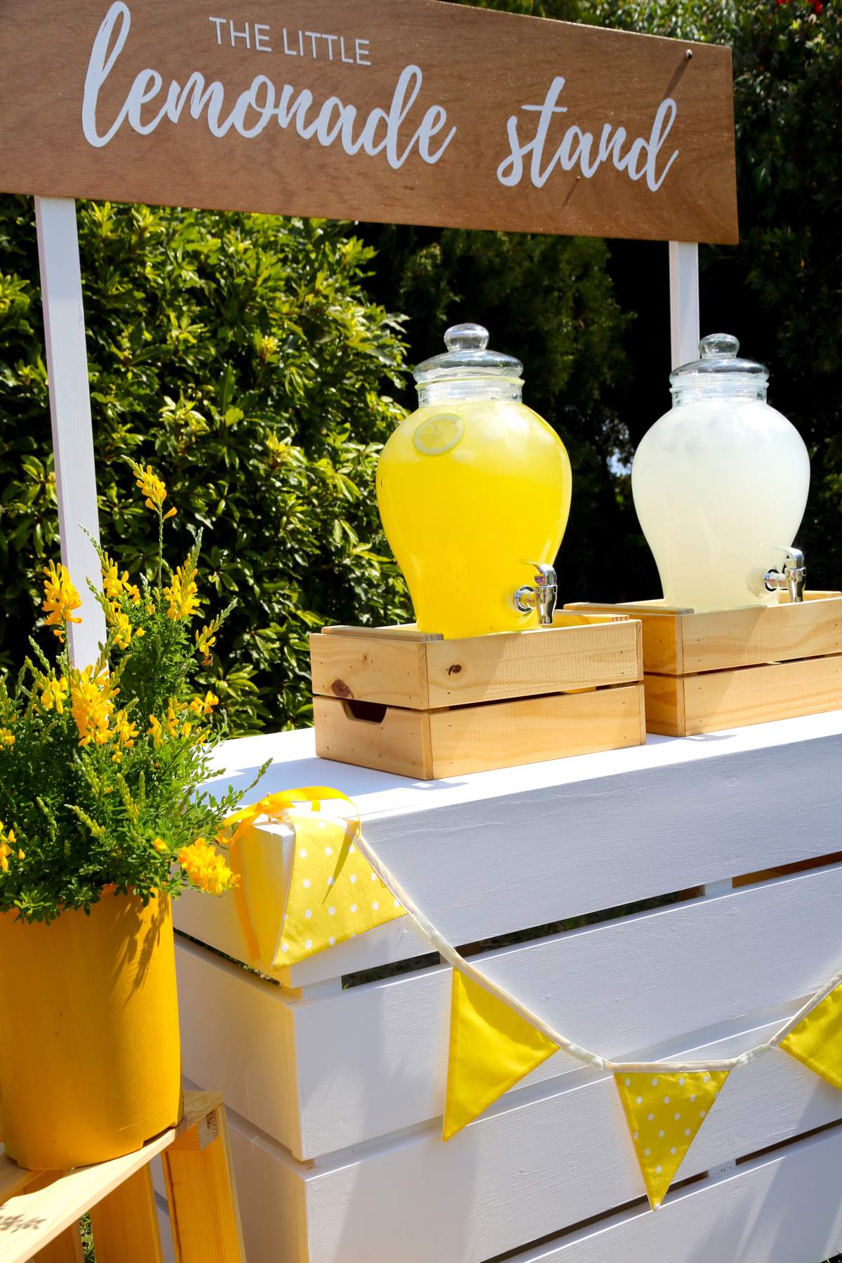 Lemonade / Lemons / Fundraiser "Jack's Lemonade Stand Fundraiser