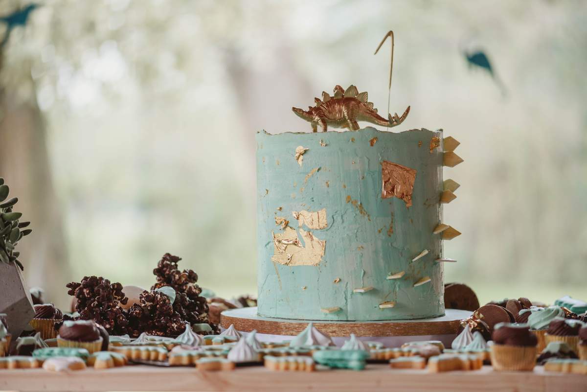 Tin Turns One! - Dinosaurs
