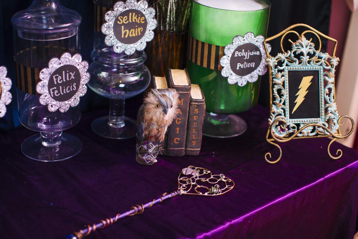 Leapin' Wizards! It's Harry's big day! - Harry Potter