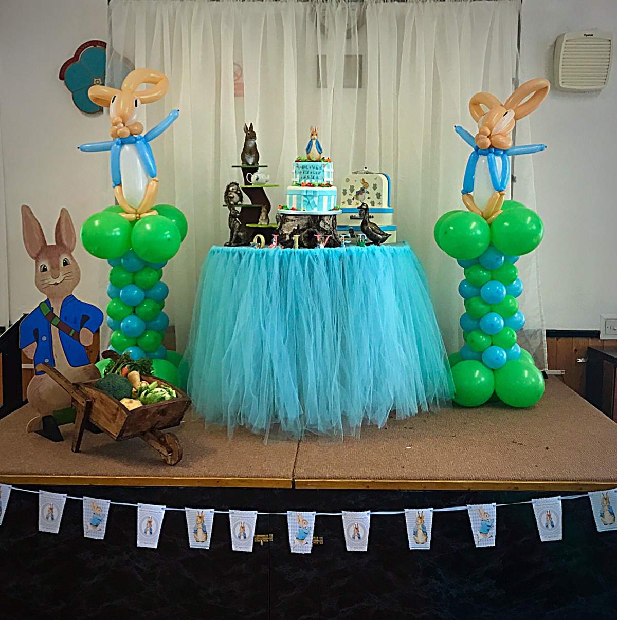 Peter Rabbit birthday party - None
