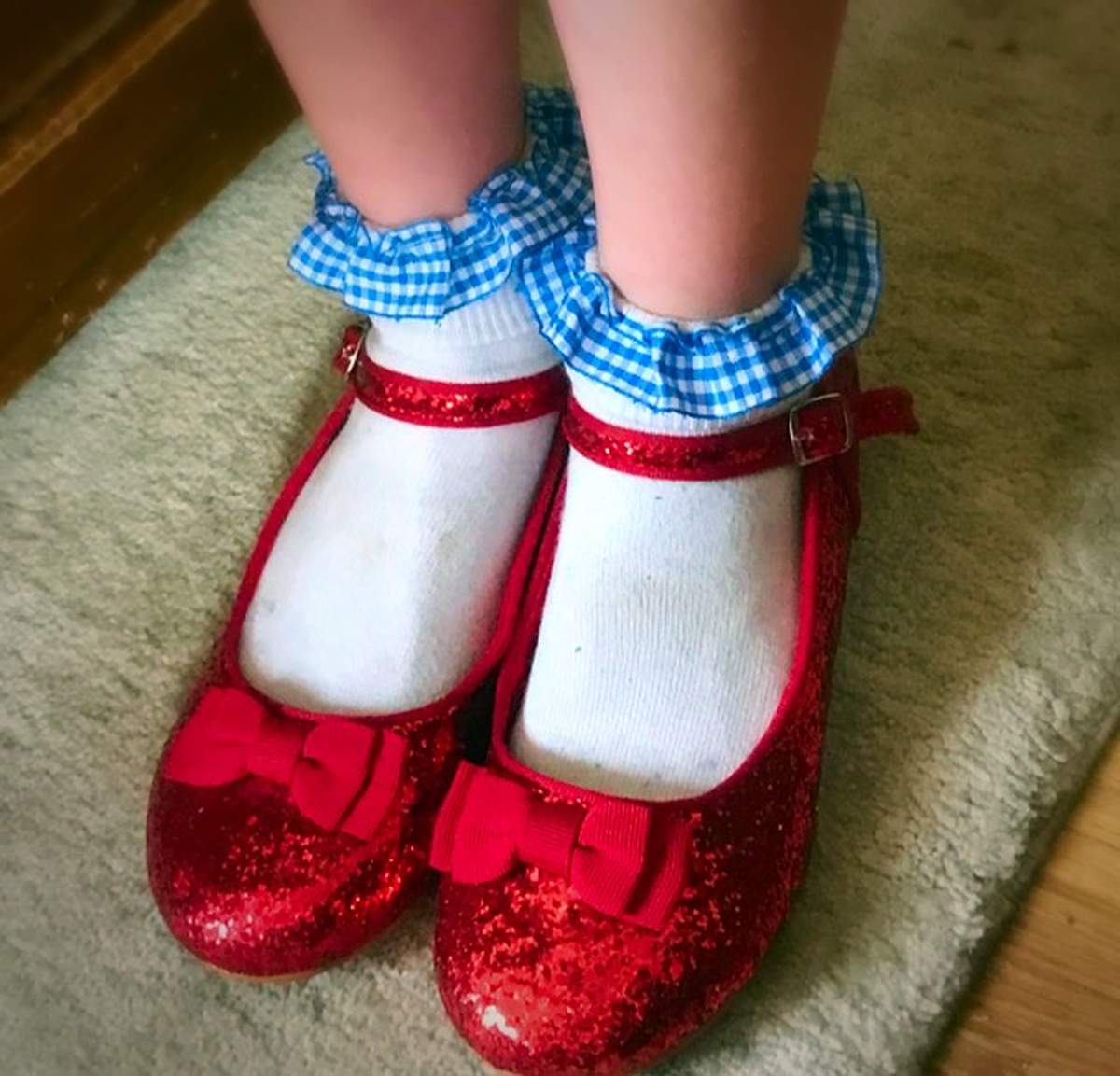 Wizard of Oz birthday party - None