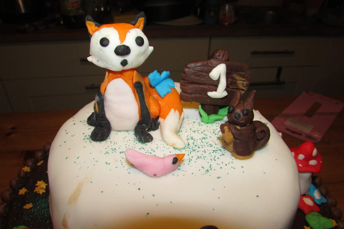 Richard Woodlands 1st Birthday Party - Woodlands