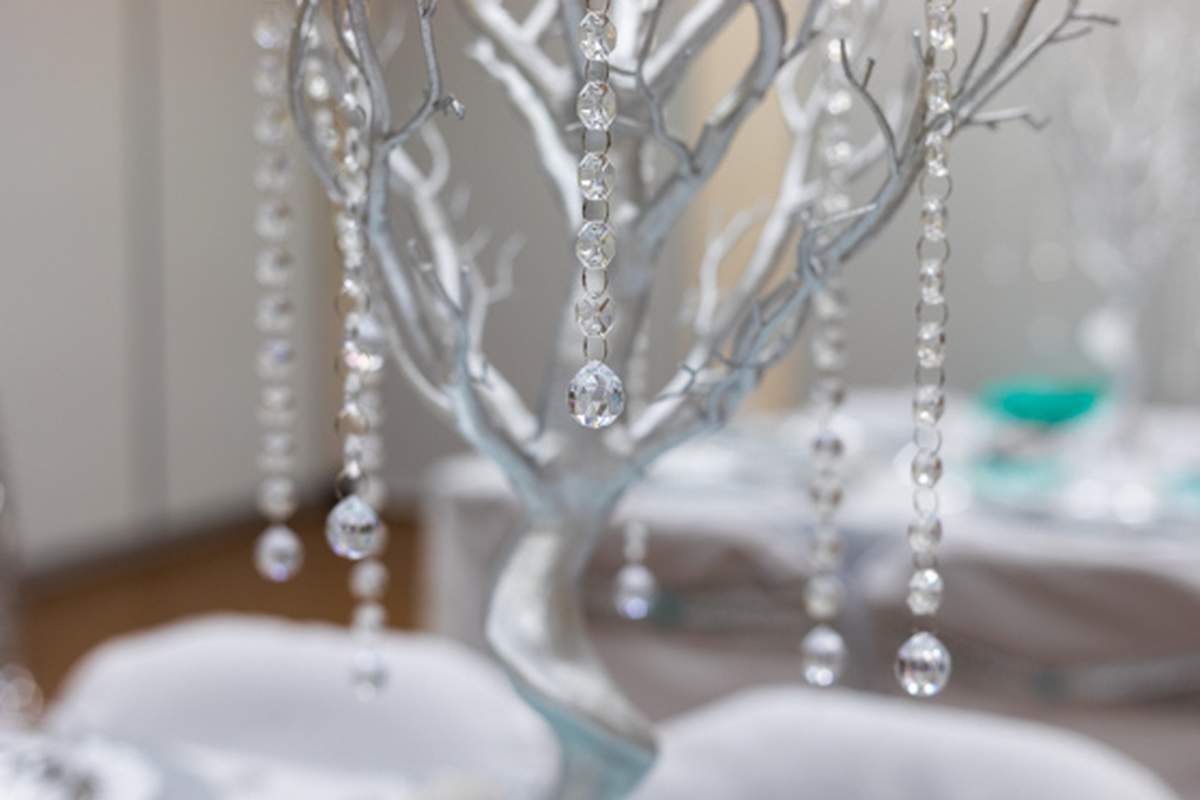LaKetta's Surprise Bridal Shower - Tiffany's Winter Wonderland