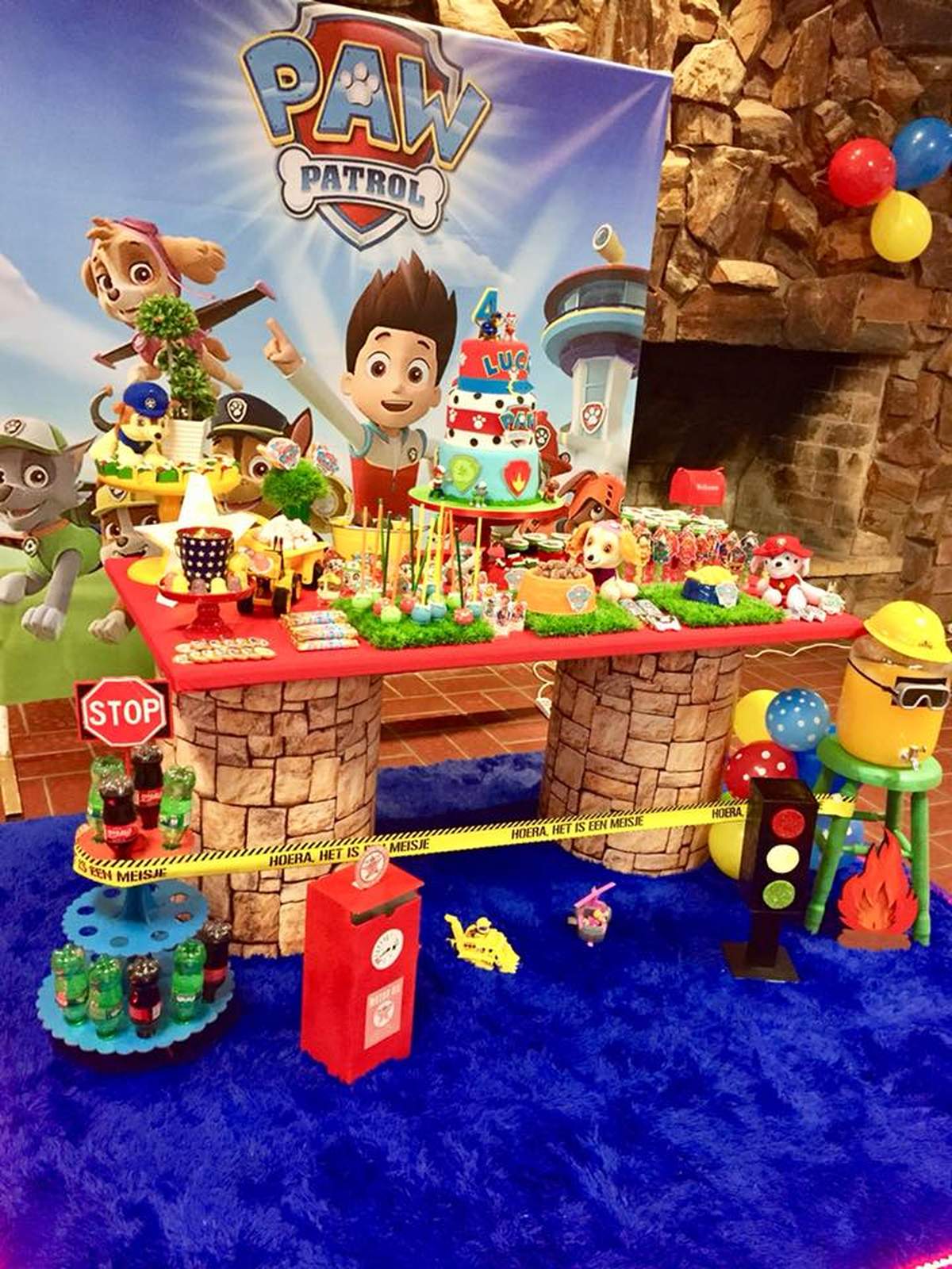 Paw Patrol Birthday Party Ideas Photo 1 of 24 Catch