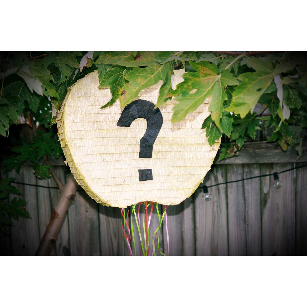 Apple Picking Gender Reveal - Apple themed