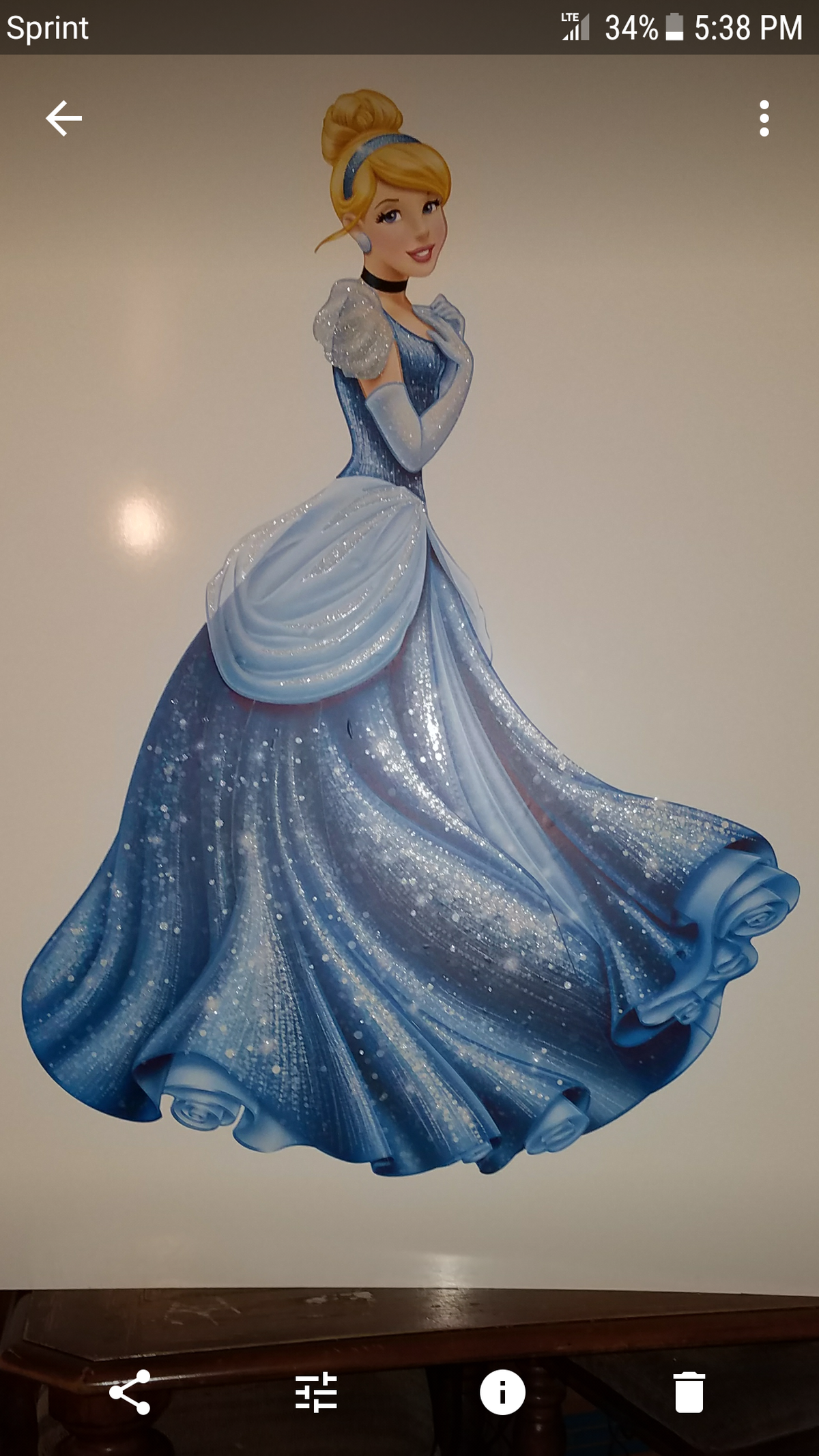Taliyah's 9th Birthday party - Cinderella