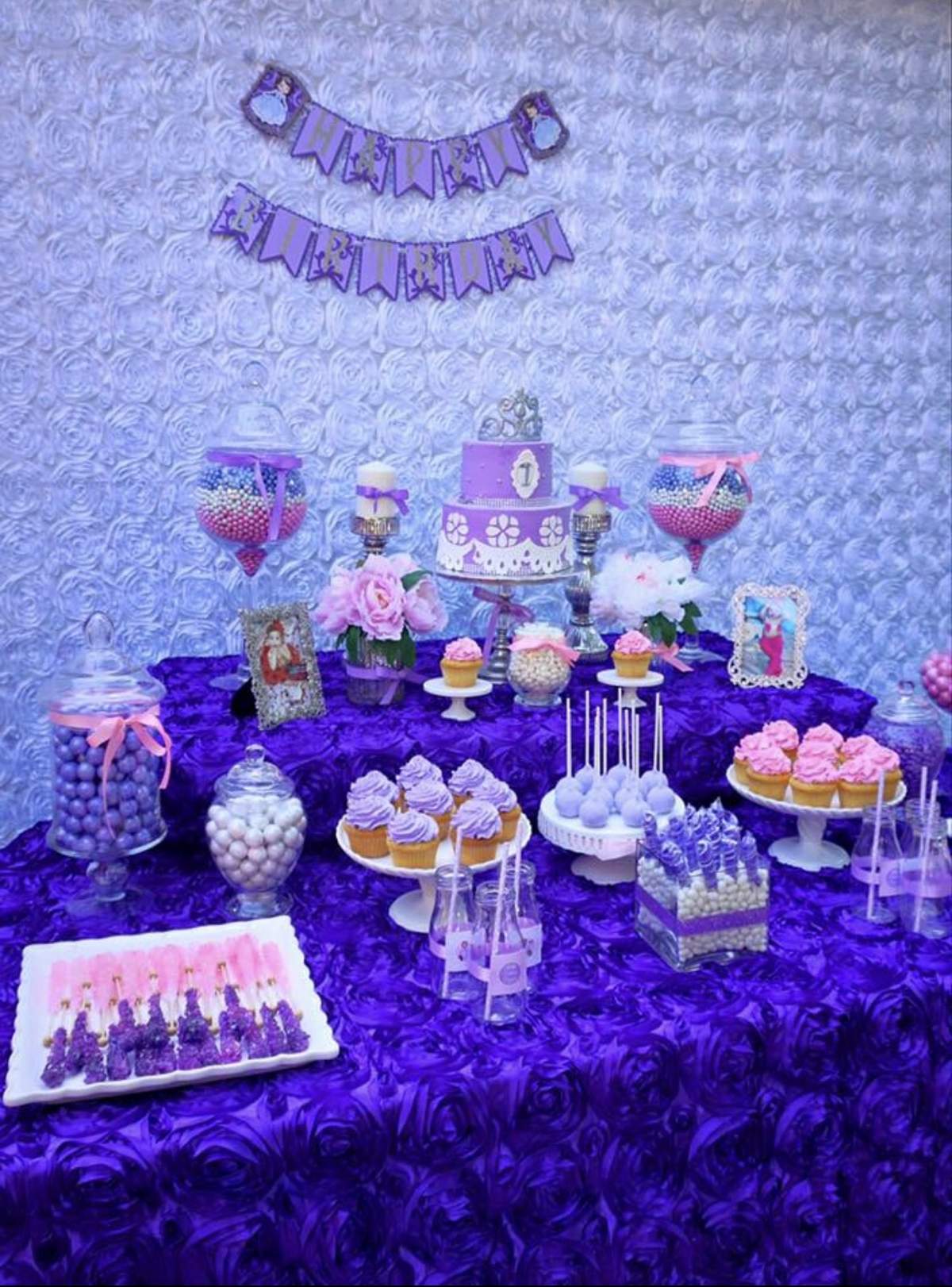 Sophia’s First birthday party - Sophia
