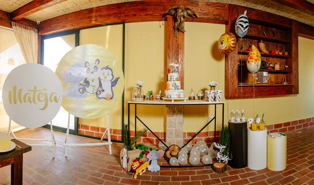 Mateja's jungle 1st birthday - Jungle Book