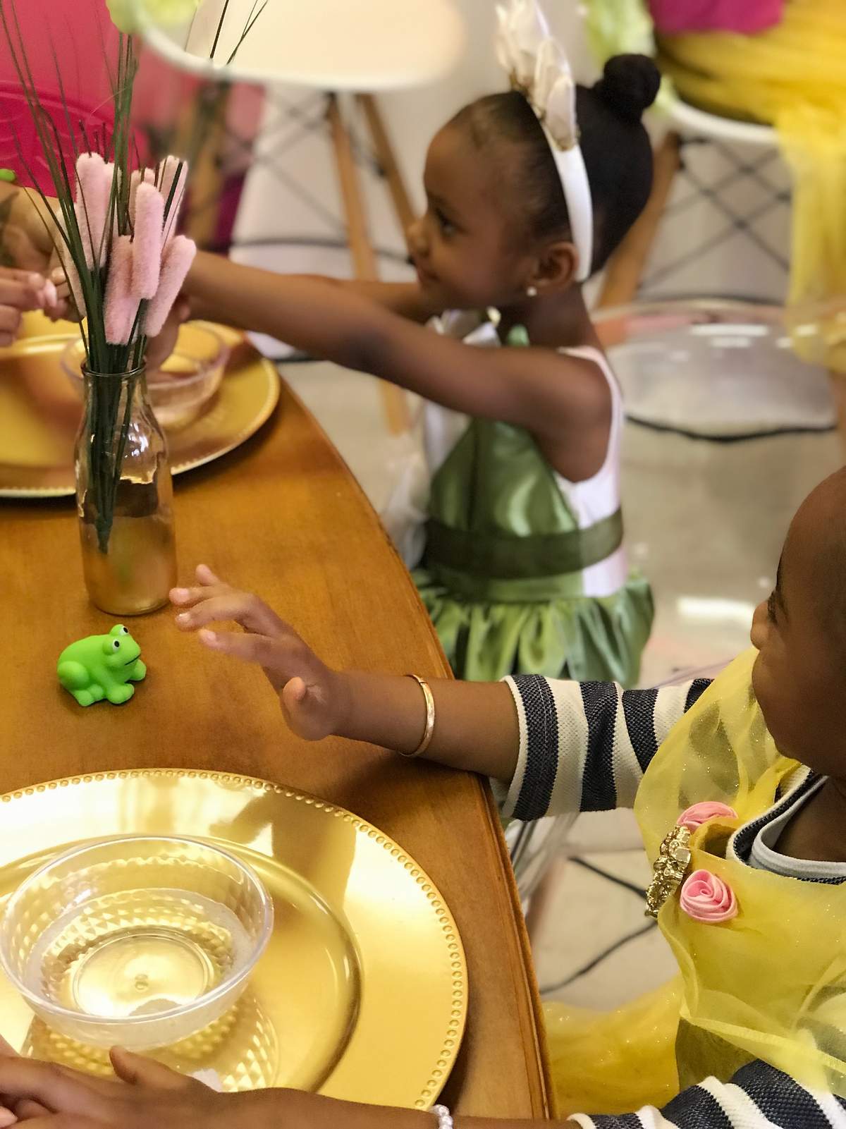 Autumn’s Princess Tea Party - Princess Tiana  and the Frog 