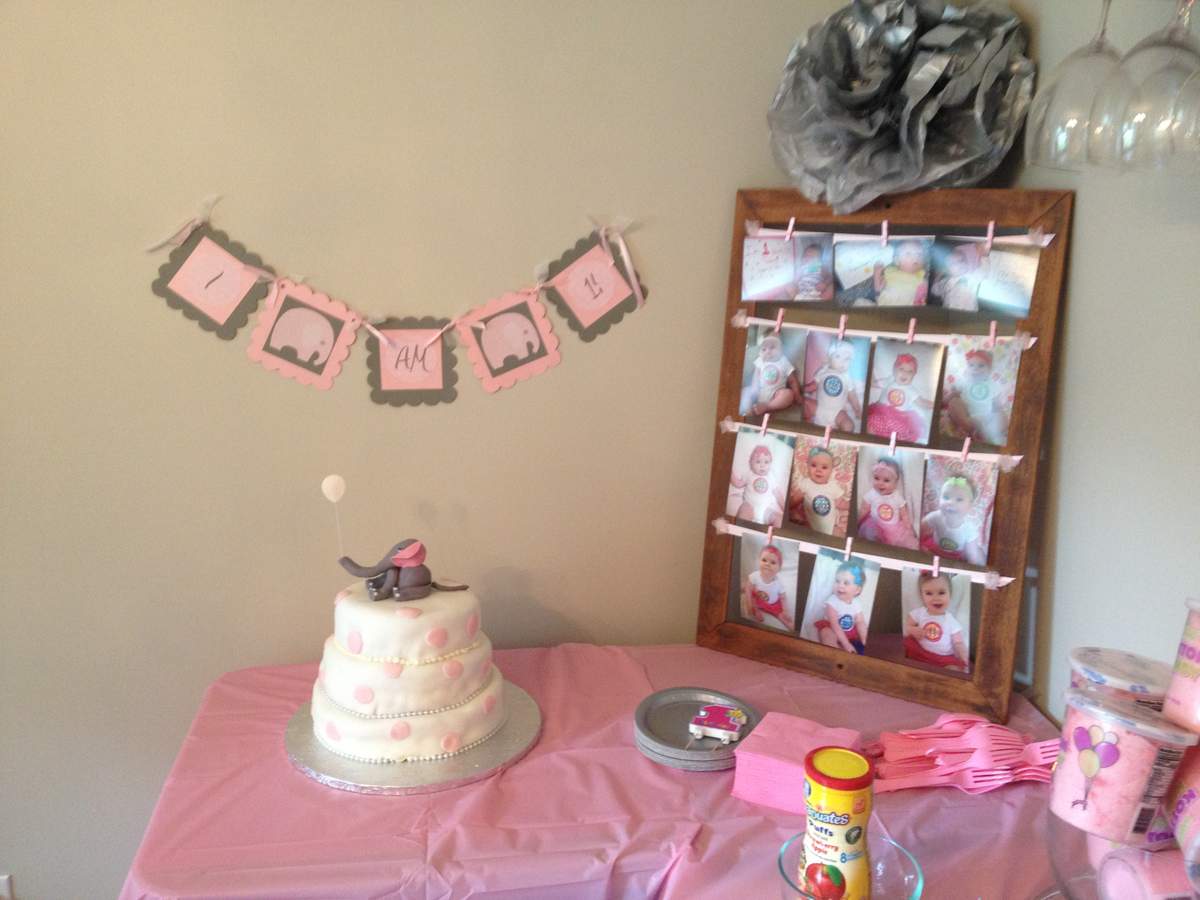 An Elephant First Birthday - Pink Elephants