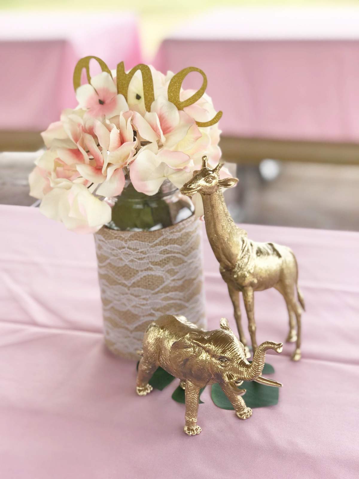 Jaiyah's Wild Safari Birthday Party - Safari