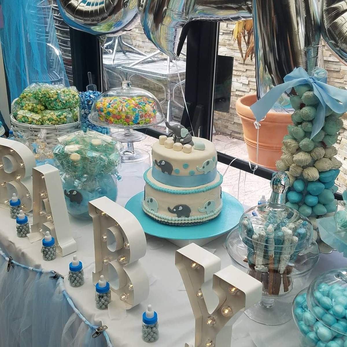 Janine's Elephant themed baby shower - elephant blue and white