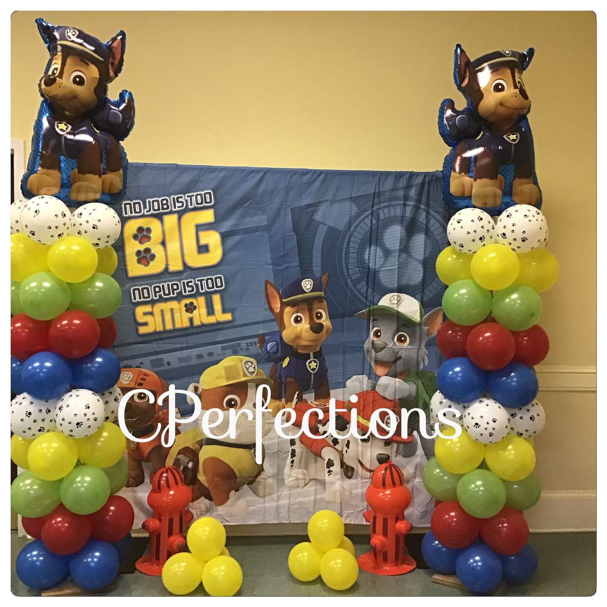 Chace Birthday Paw-ty - Paw Patrol