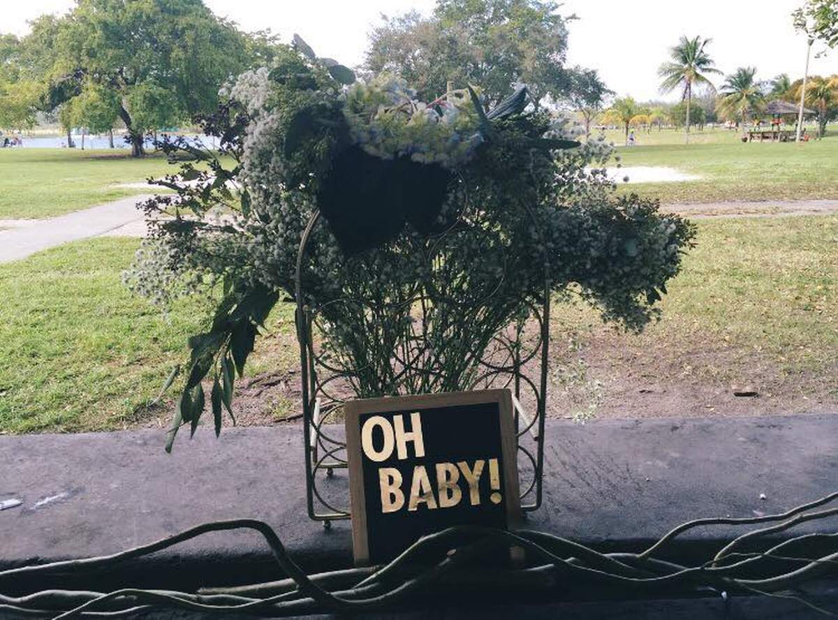 Baby Milo's Shower - A Breath of Fresh Air