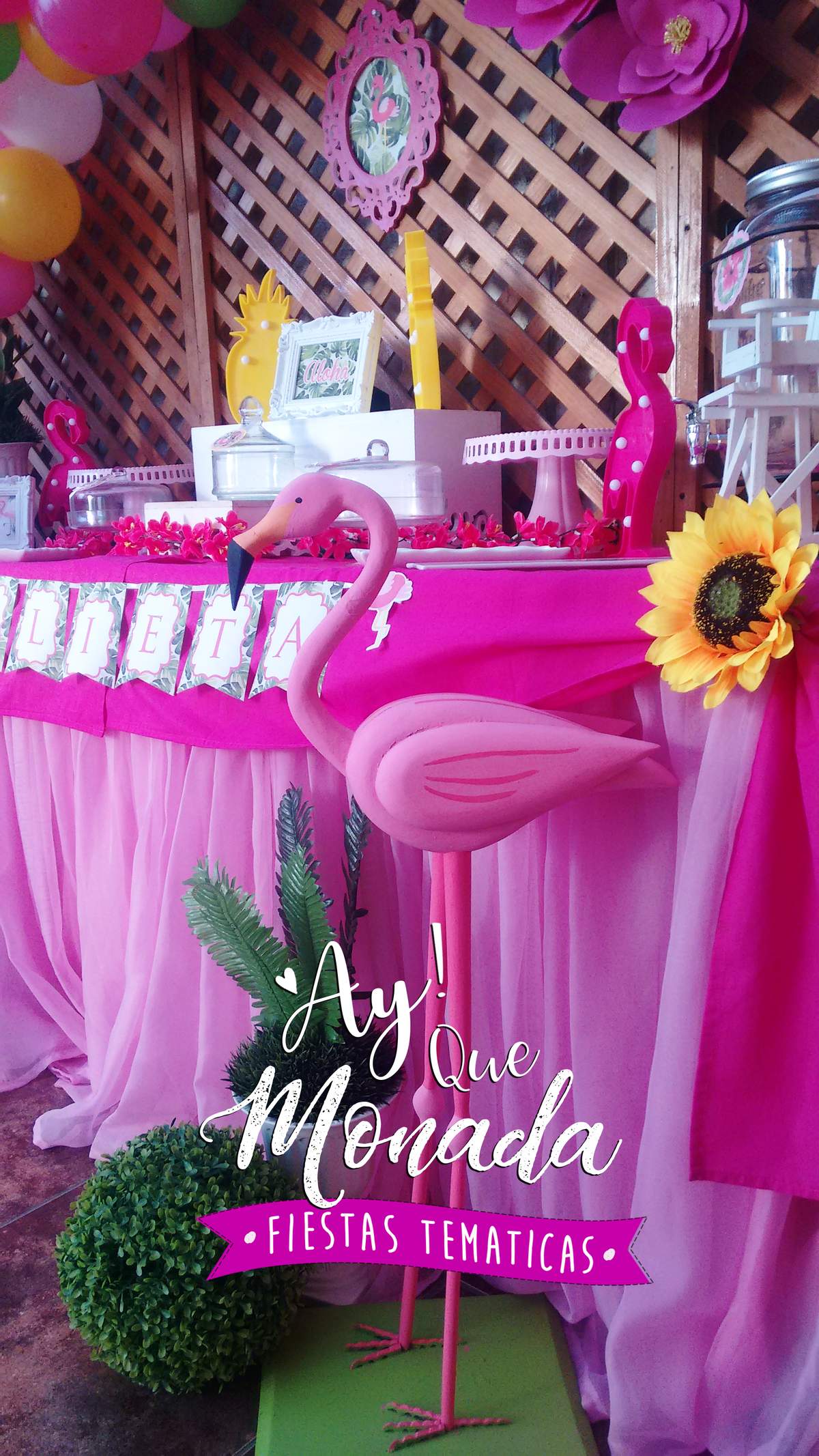 The Party of flamingos for julieta - Flamingos