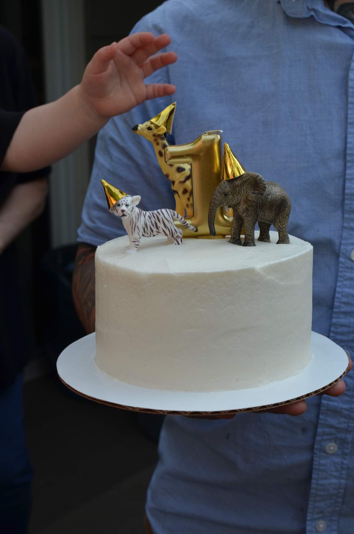 Wild Boy Ledgen is One! - Wild Animal First Birthday
