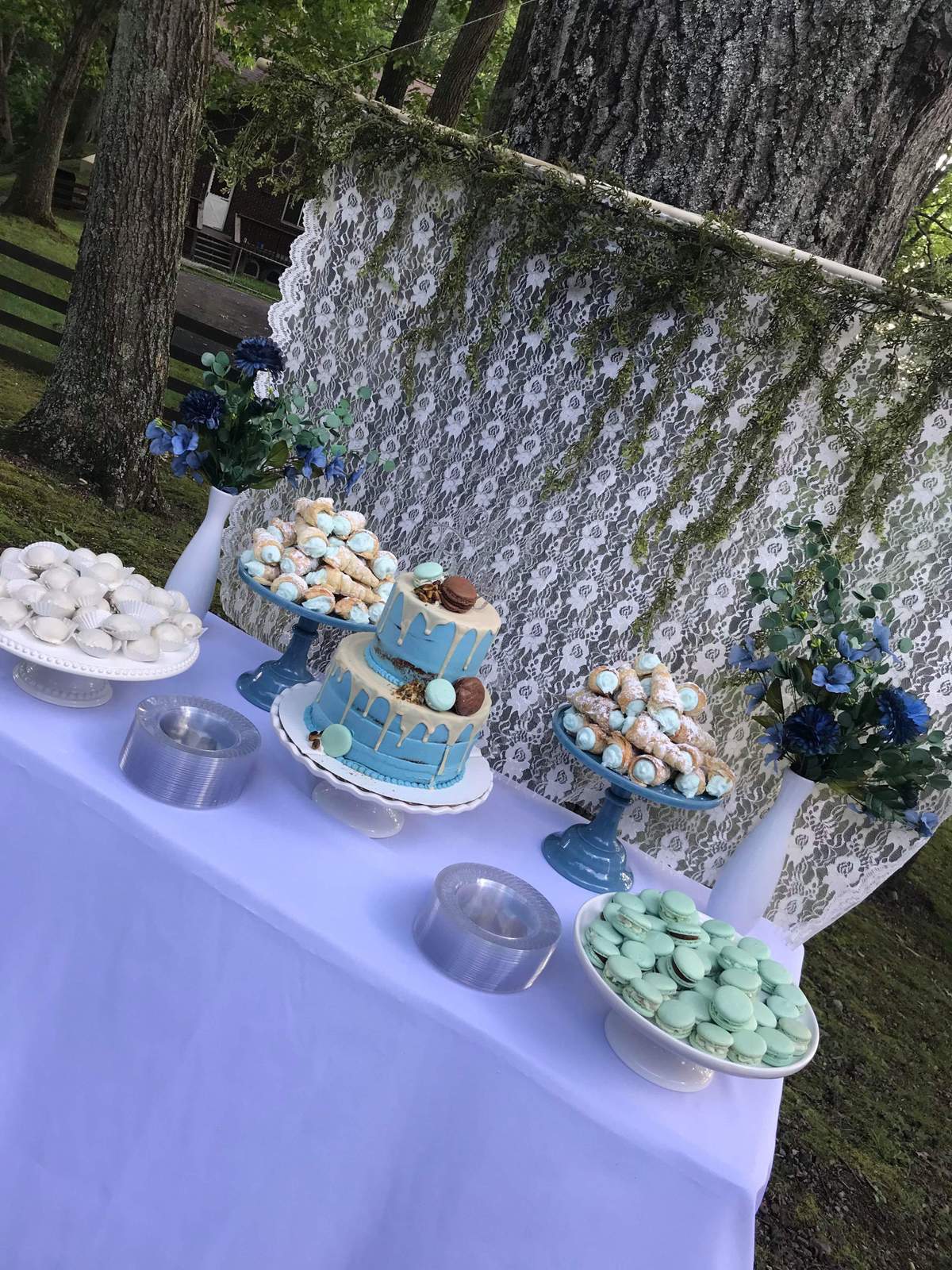 Natalie’s Blue Boho Baby Shower - None