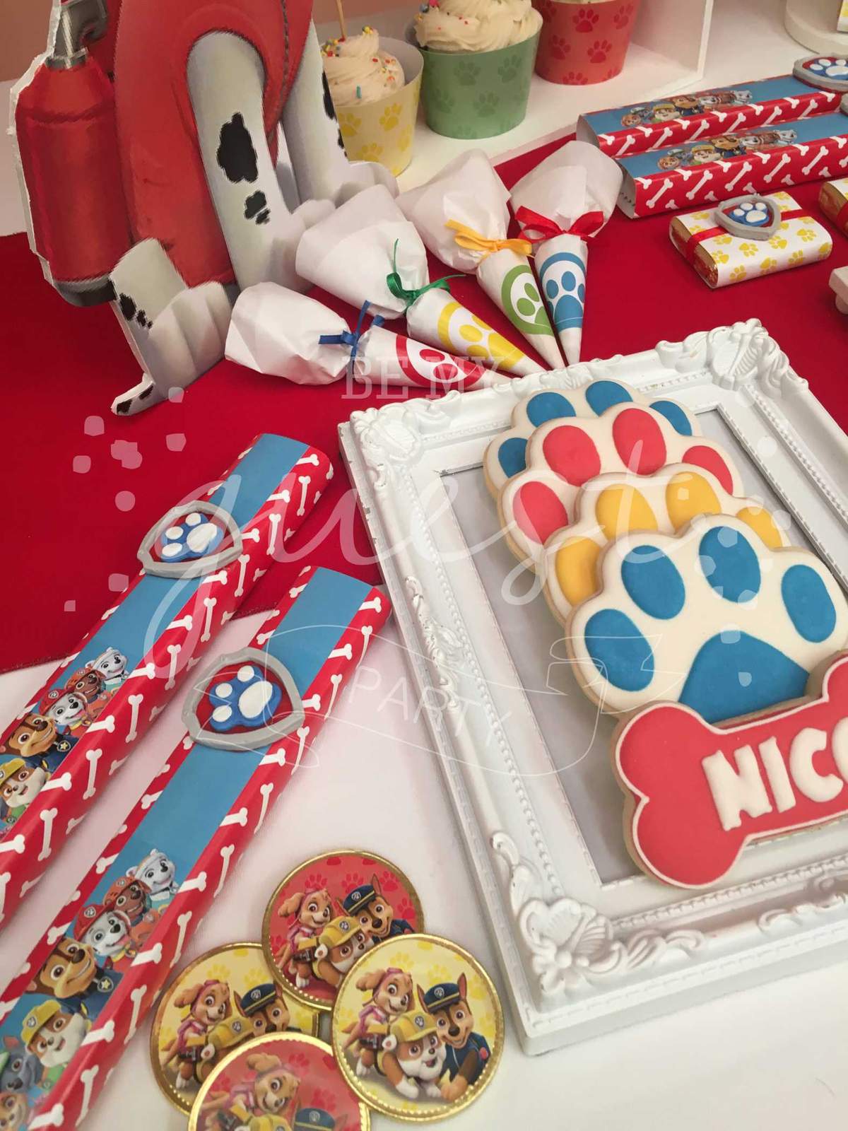 Cumple Nico - Paw Patrol