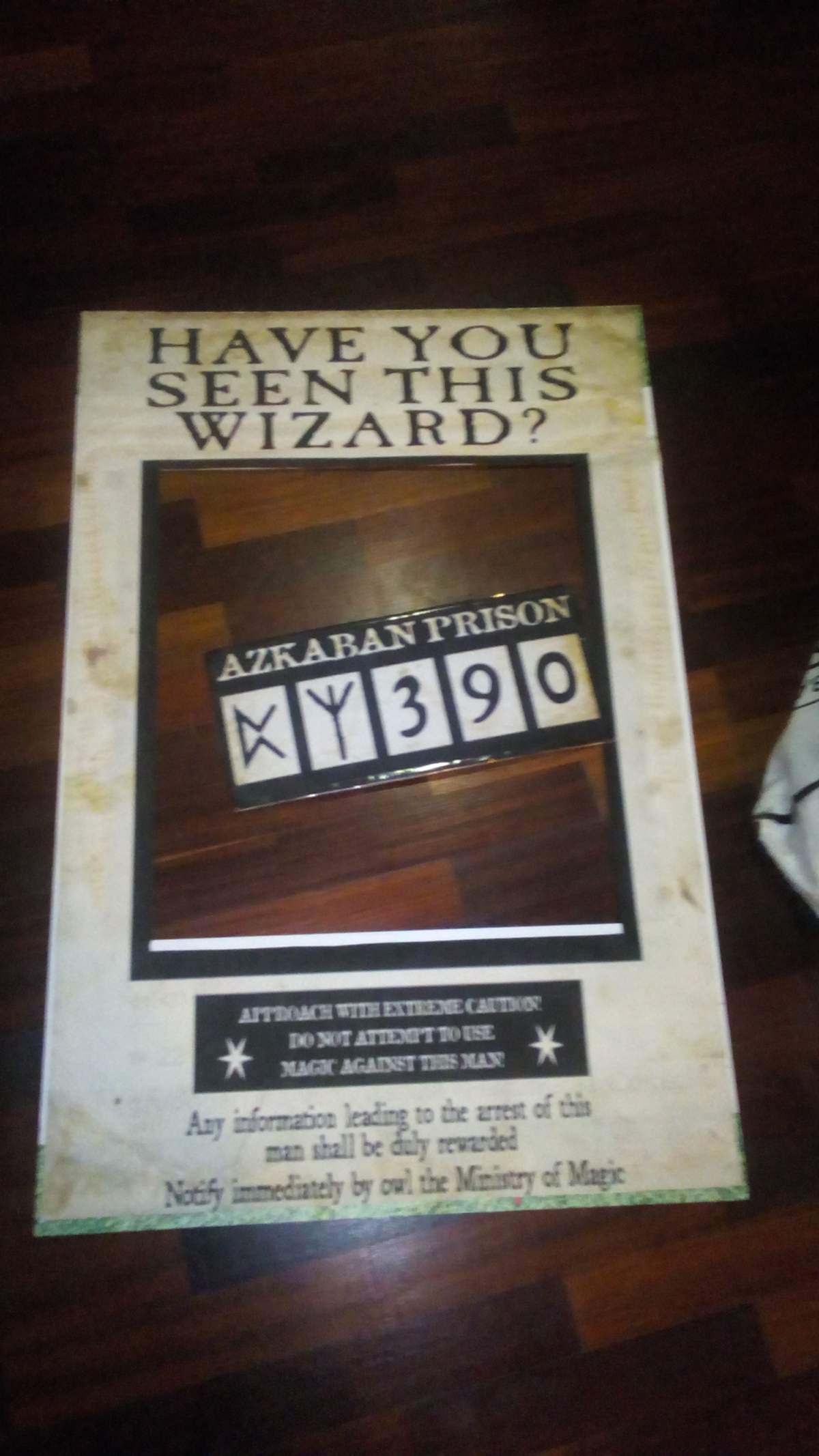 Maria Victoria Harry Potter Party - Harry Potter