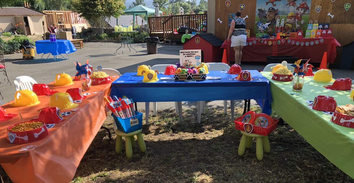 Mason’s 3rd Birthday - Pawsomeness - Paw Patrol 