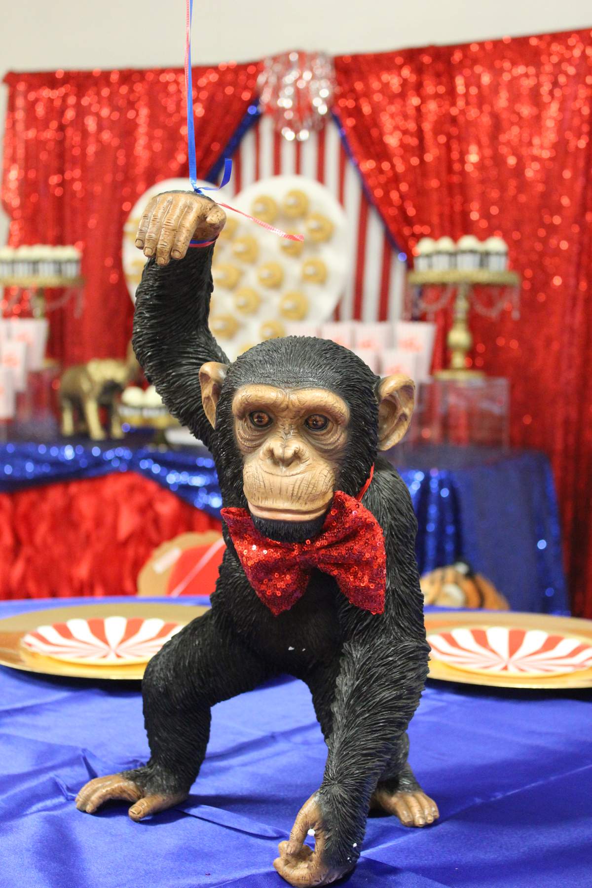 Crazy cousins circus party - Circus
