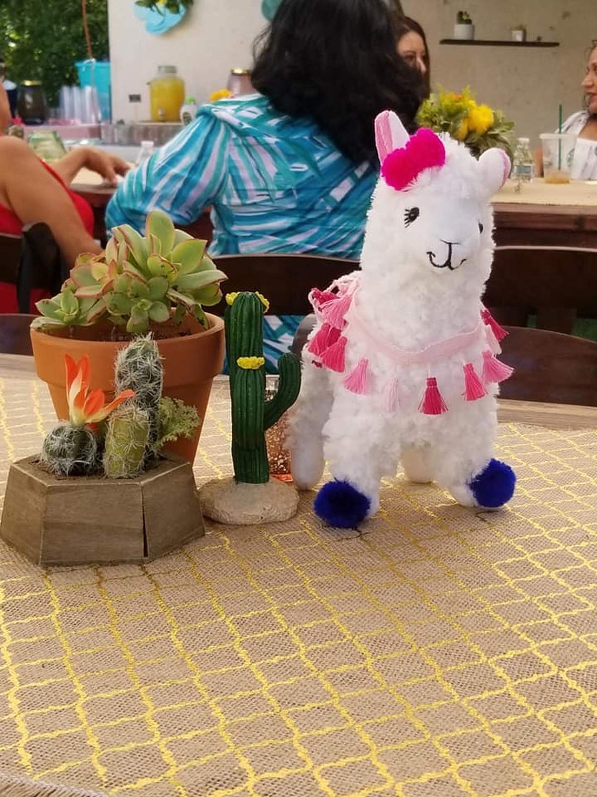 Llama Baby Shower Party Ideas Photo 2 of 30 Catch My Party