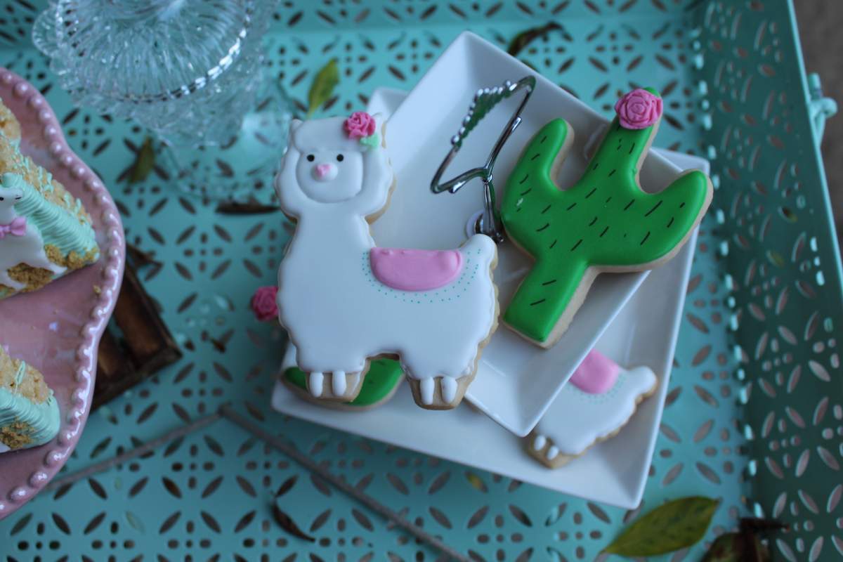 Llama Baby Shower Party Ideas Photo 2 of 30 Catch My Party