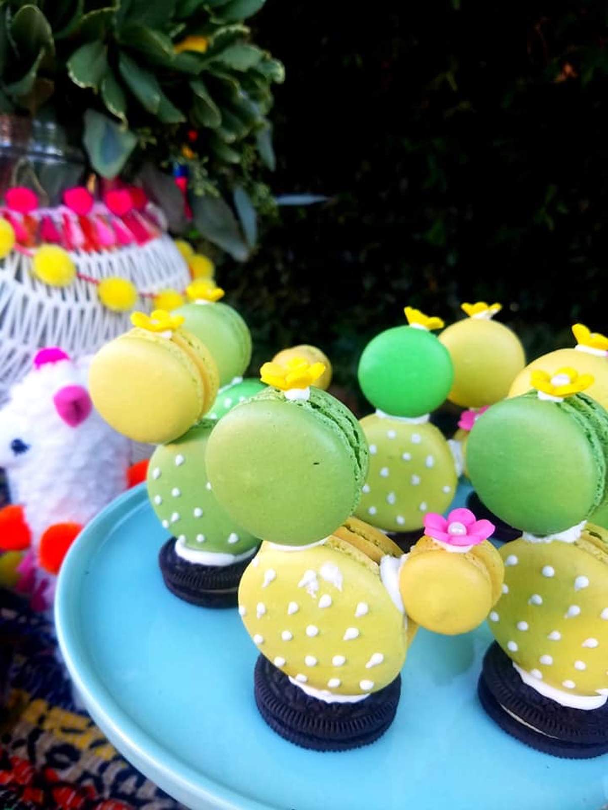 Llama Baby Shower Party Ideas Photo 2 of 30 Catch My Party