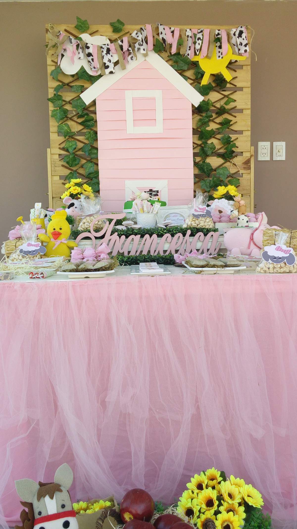 Farm birthday party - Farm