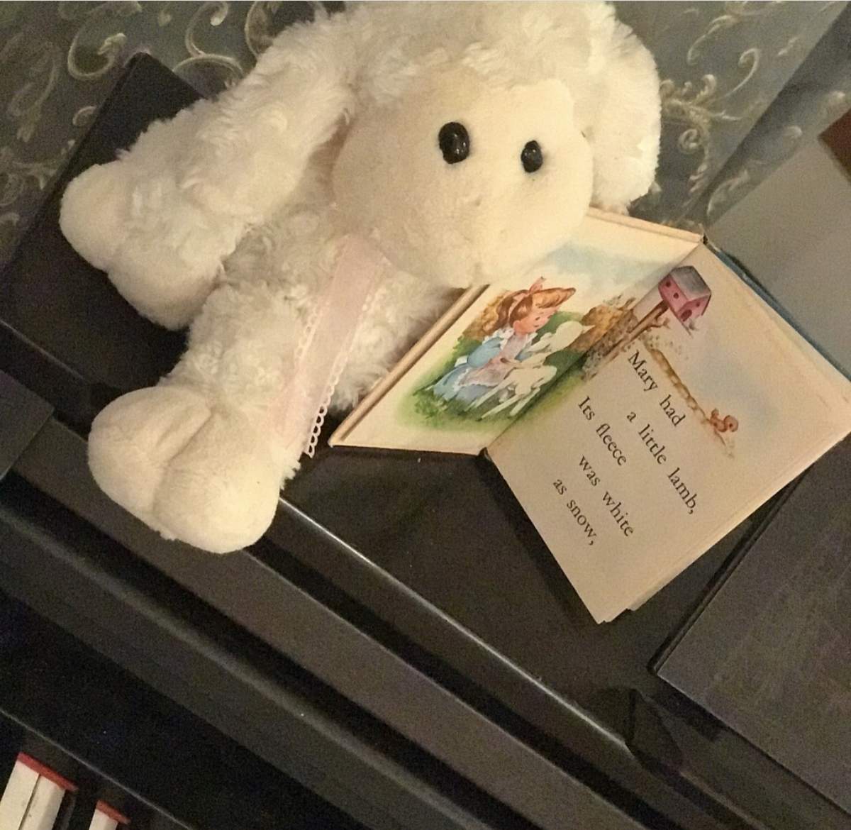 Darlene Had a Little Lamb - Mary had a little lamb 