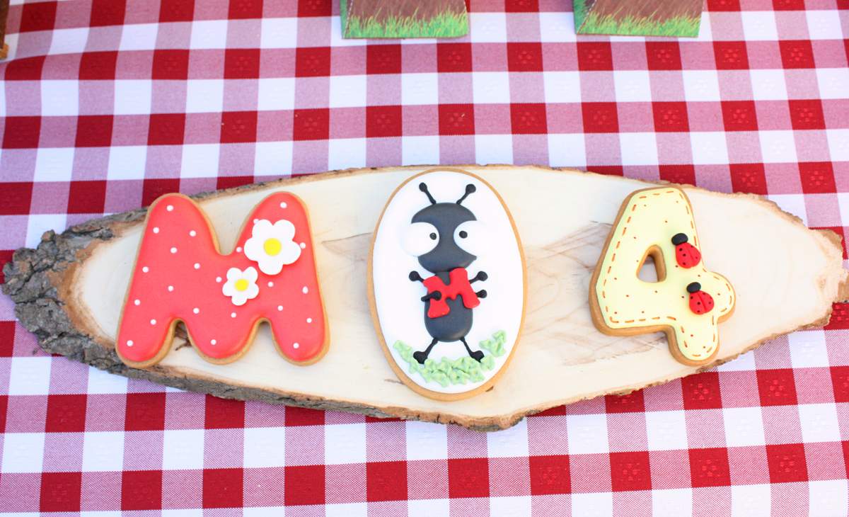 Marias`s Picnic Party - Picnic