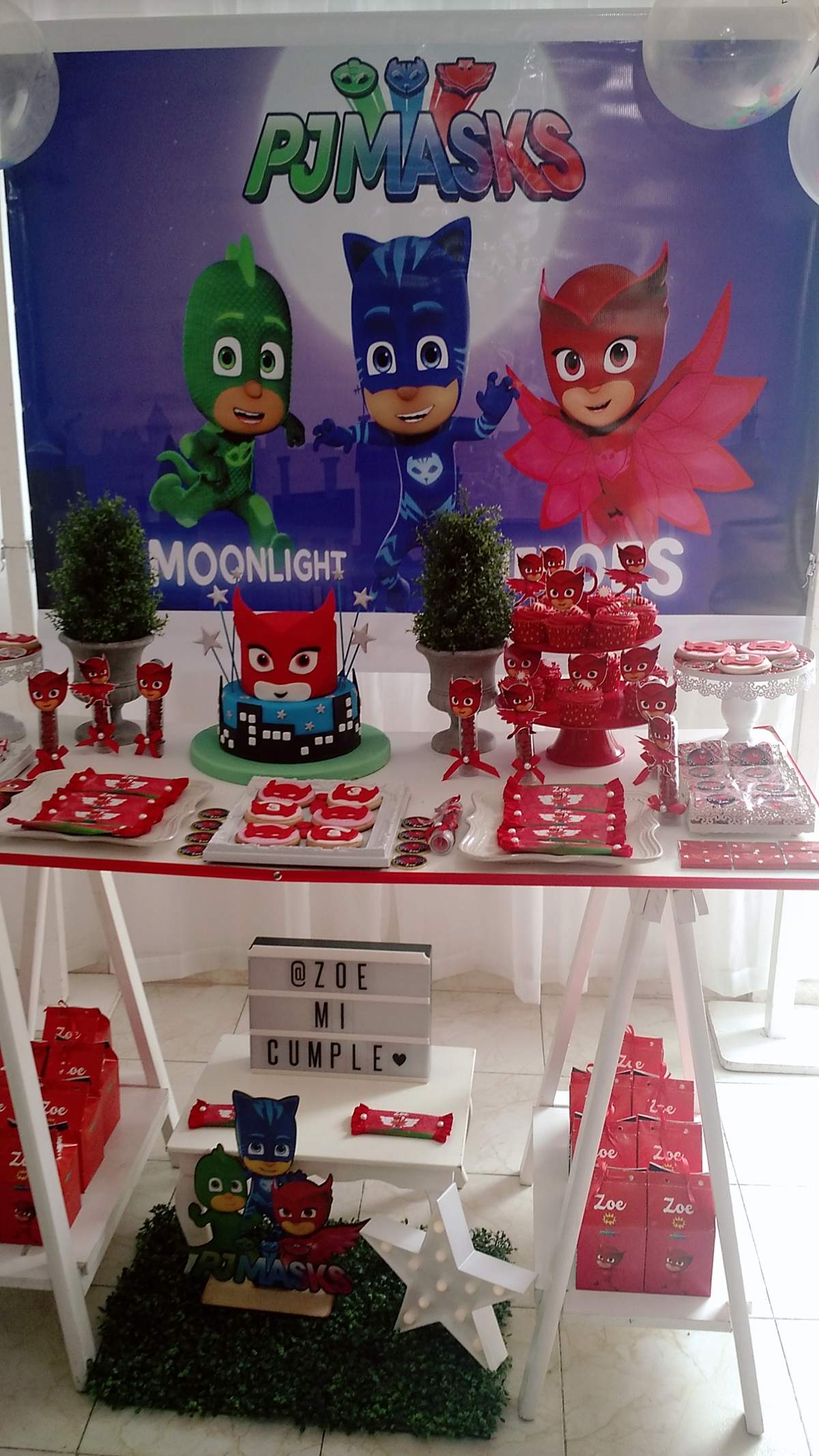 PJ MASKS Birthday Party Ideas Photo 1 of 20 Catch My Party