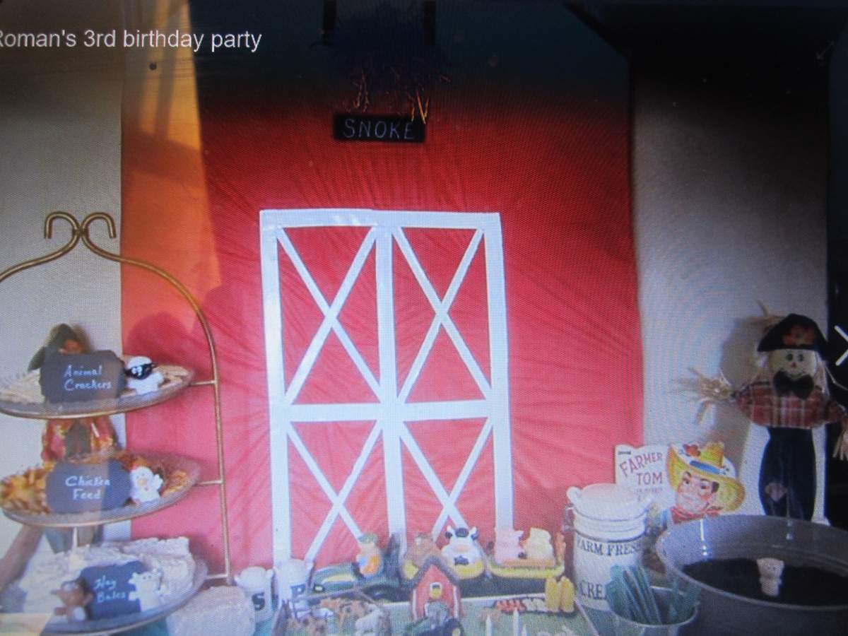 Roman's 3rd birthday - Farm