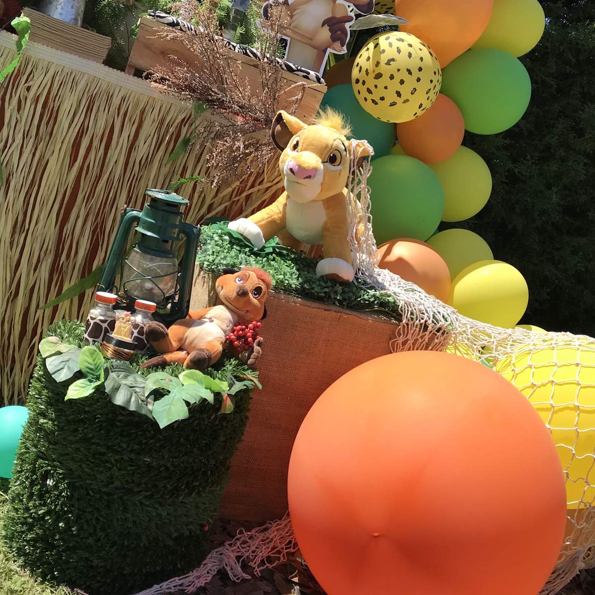 Lion King birthday party - None