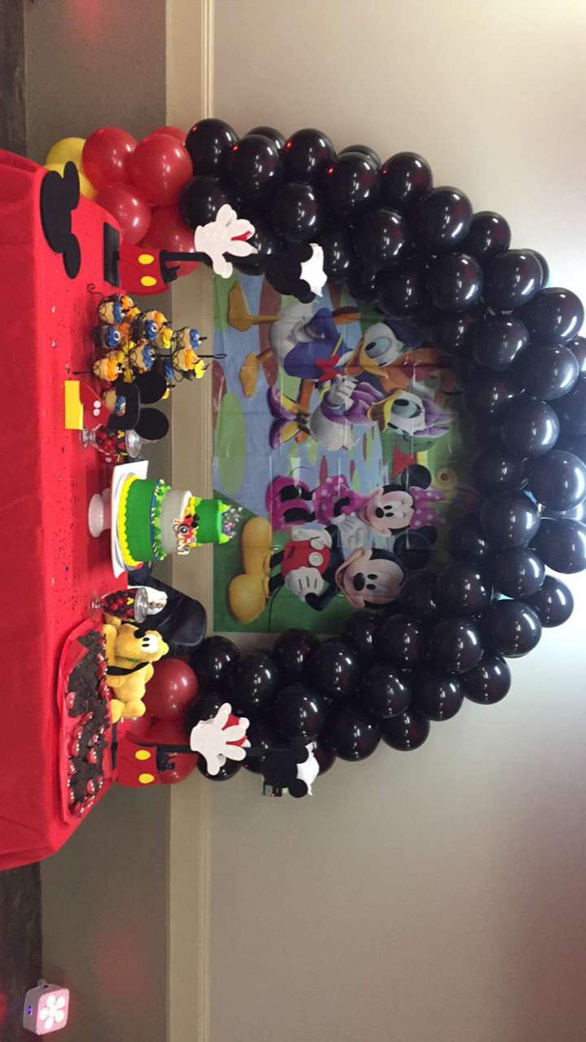 Leo’s 2nd birthday party  - Mickey Mouse / Minnie Mouse