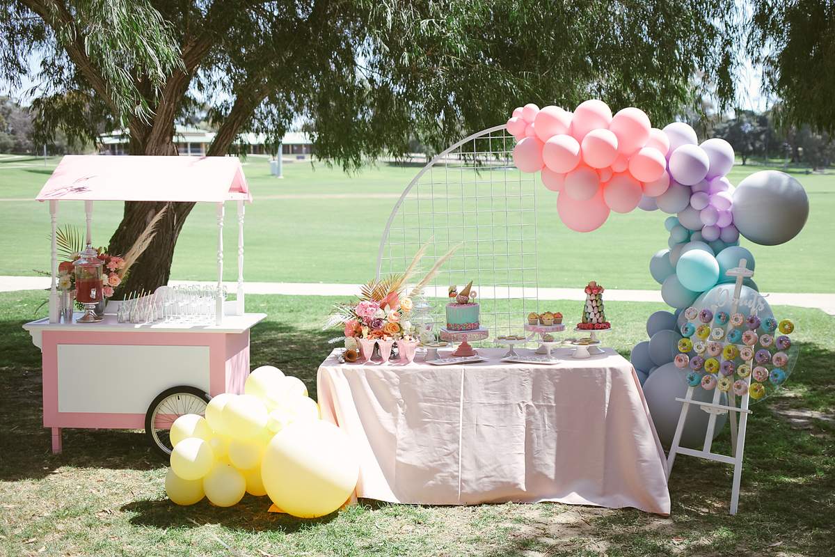 Willows Sweet 2nd Pastel birthday party - Ice cream / donuts /sweets 