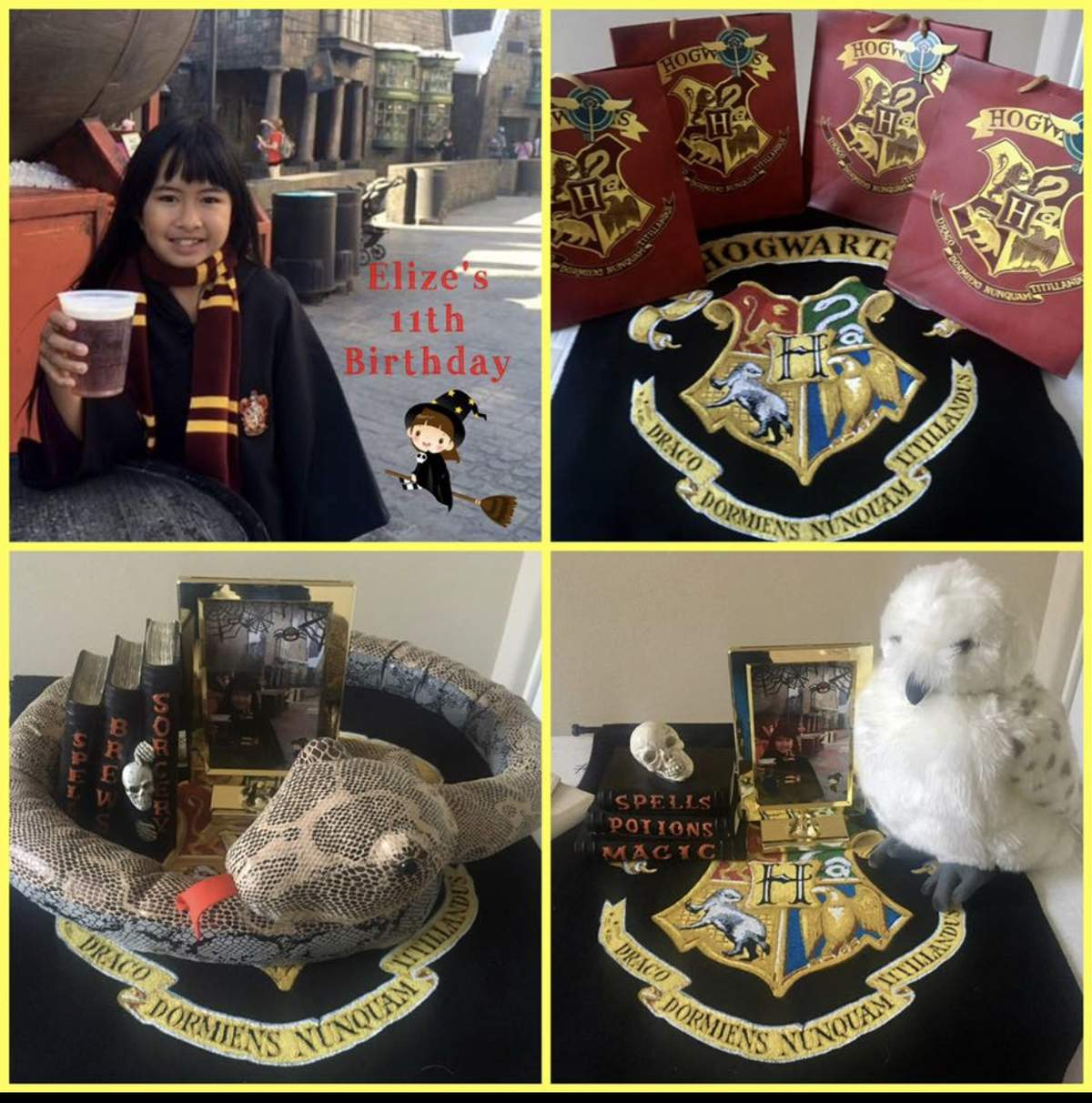 Elize’s 11th Wizarding Birthday - Harry Potter