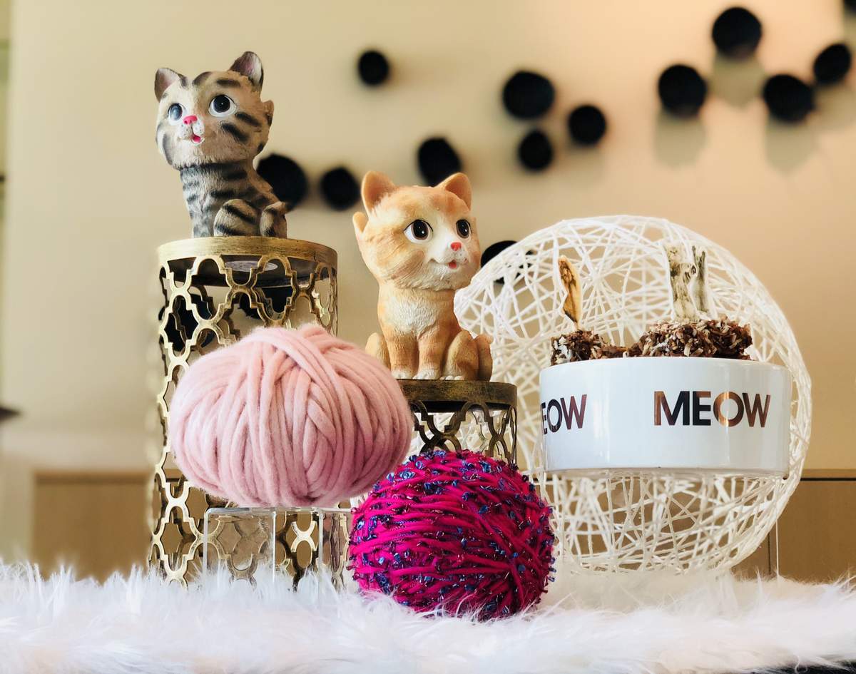 Willa's Purrfect 5th Birthday Pawty - Cats