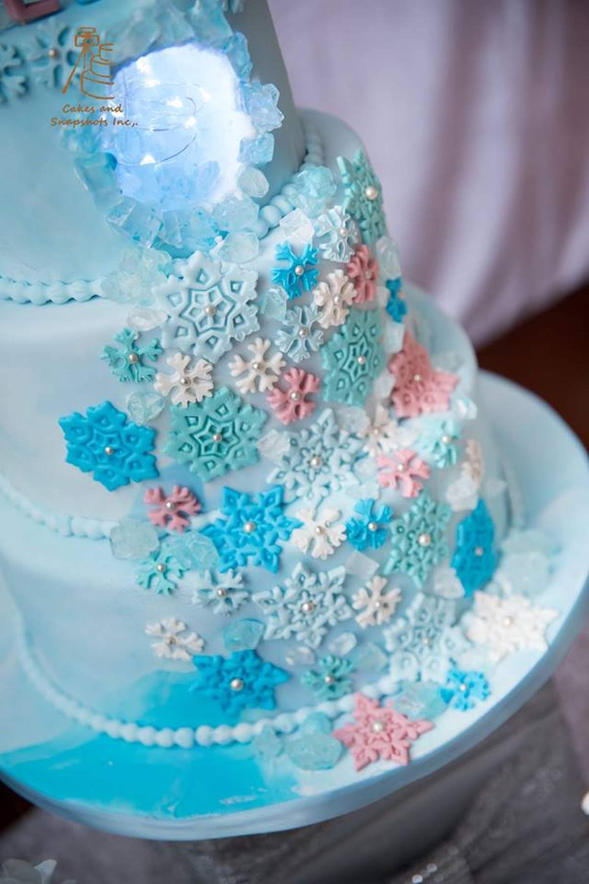 Frozen birthday party - Frozen Winter wonderland 