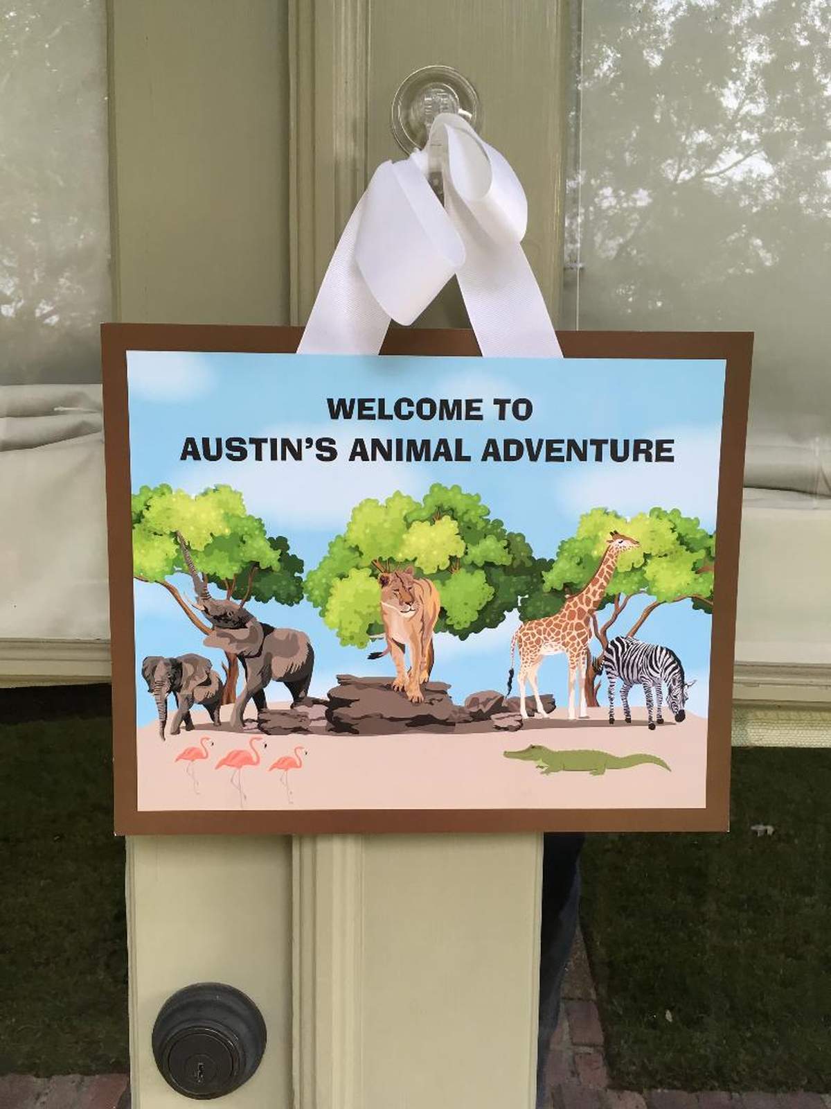 Austin's Animal Adventure - Safari/ Zoo Animals