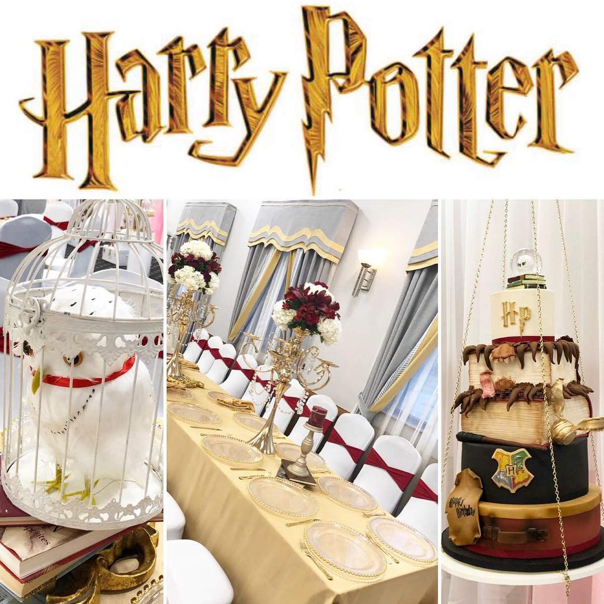 Elegance Harry Potter celebration  - Harry Potter