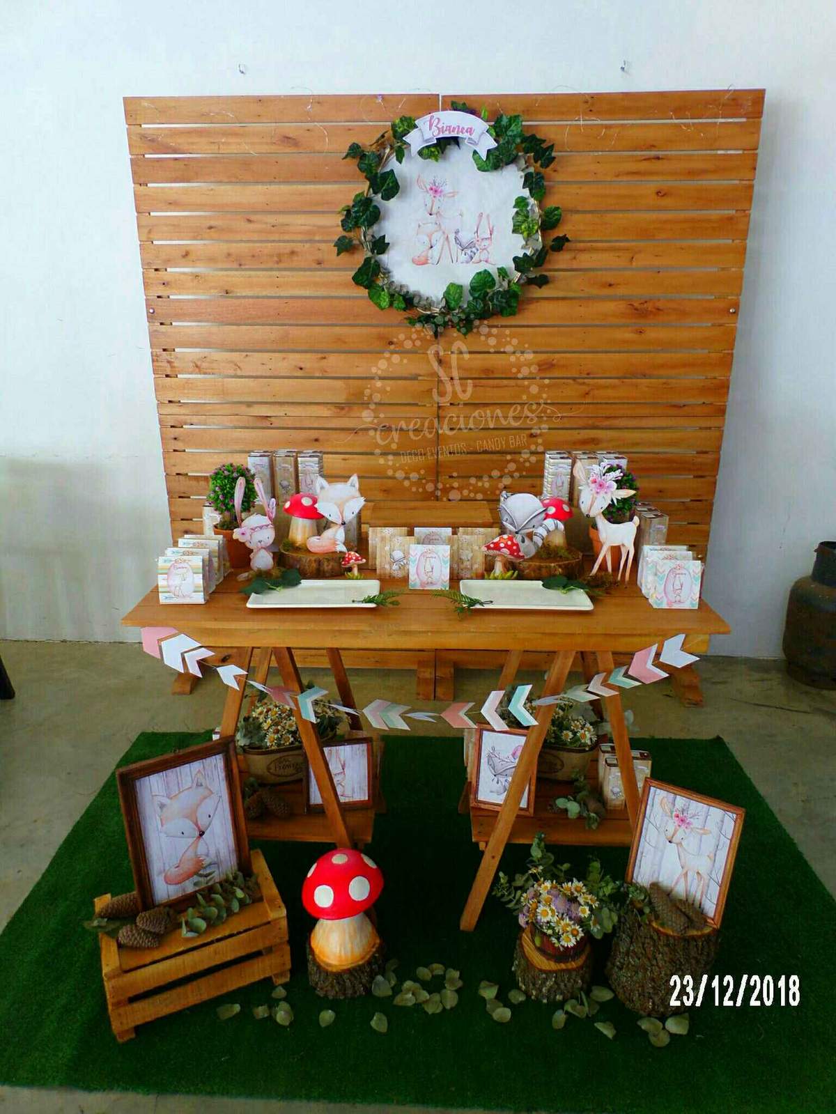 Cumpleaños número 3 de Bianca  - Animales del bosque 