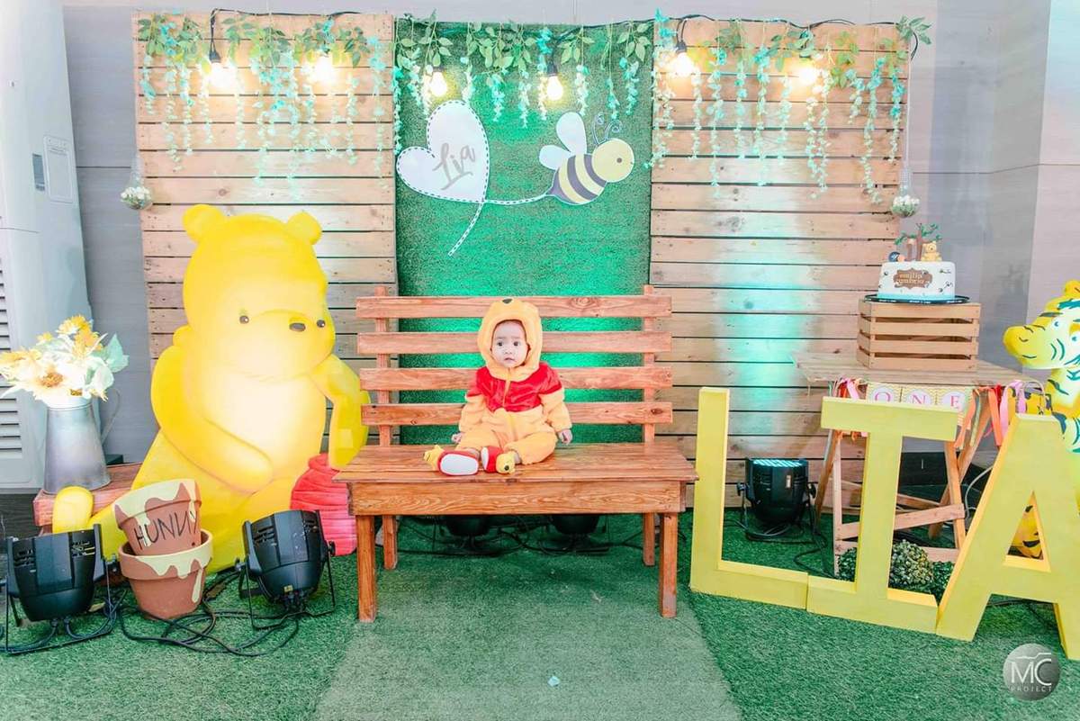 Lia's Hundred Acre Wood Party - Hundred Acre Wood