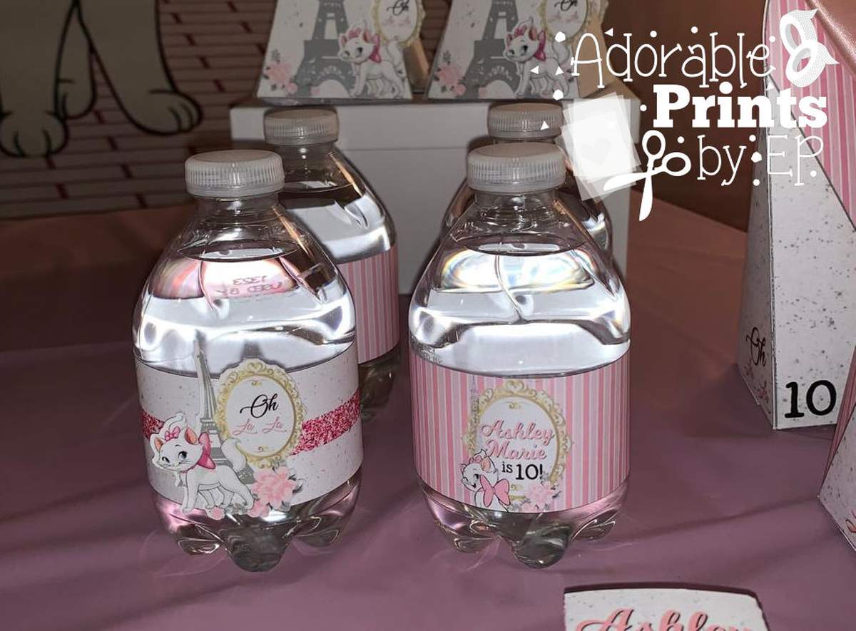 Aristocats Marie in Paris Ashley Marie 10th Birthday - Aristocats Marie in Paris 