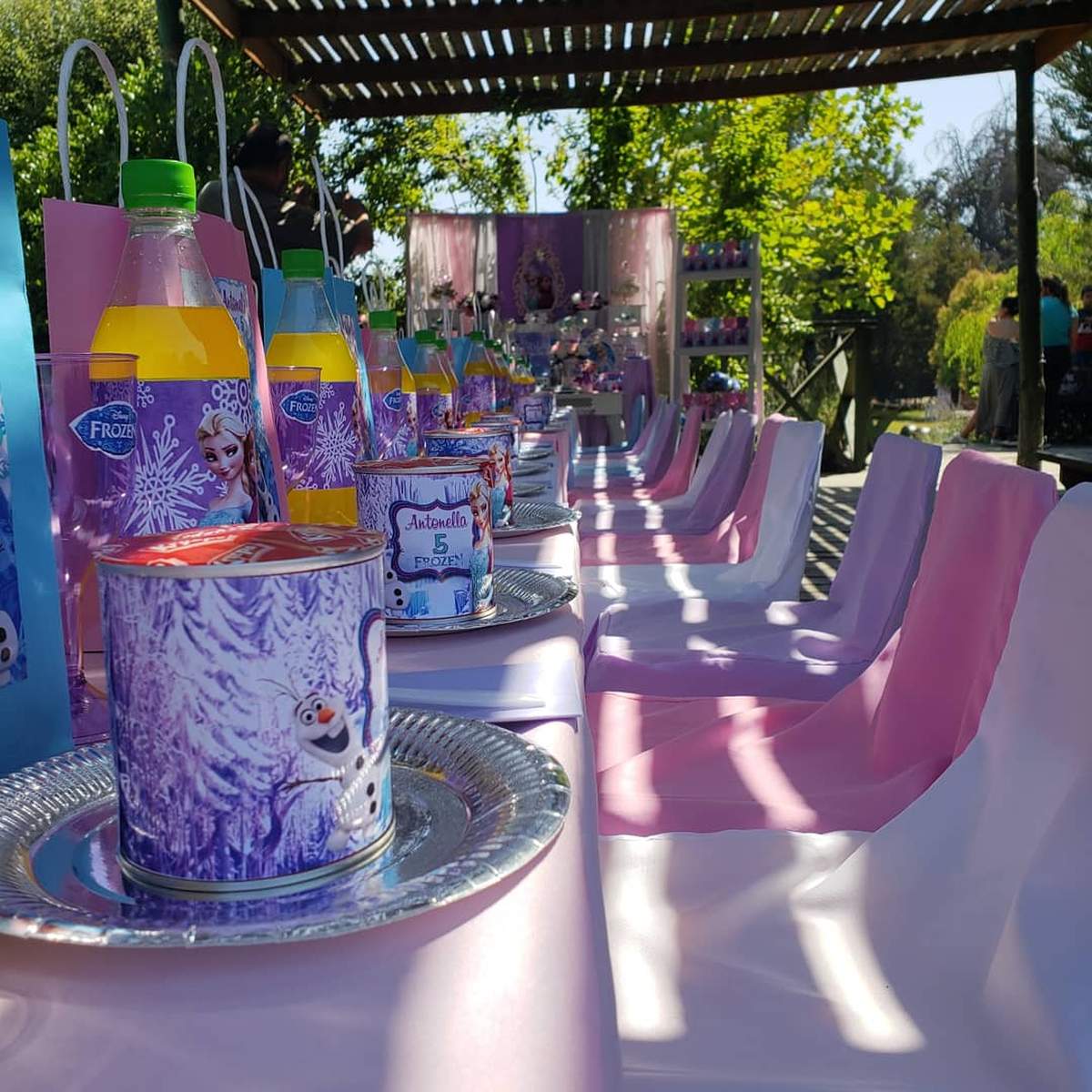 Frozen al aire libre - Frozen