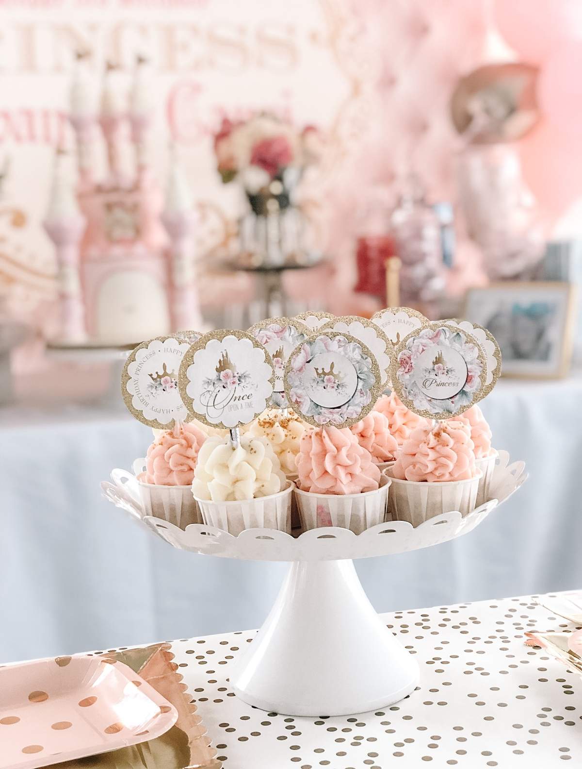 Princess for the day  - Princeess party 