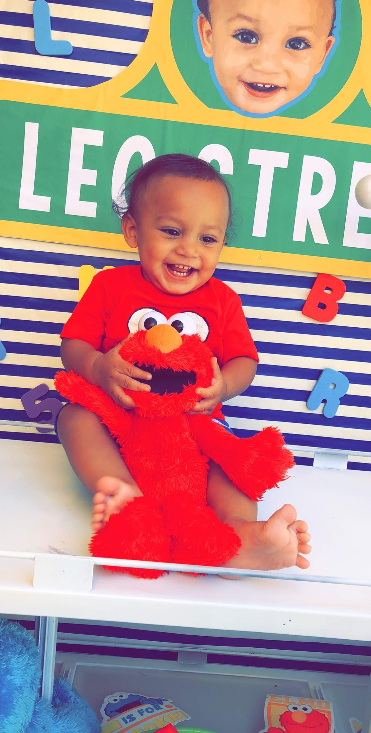 Leo’s Sesame Street 1st Birthday Party - Sesame Street 