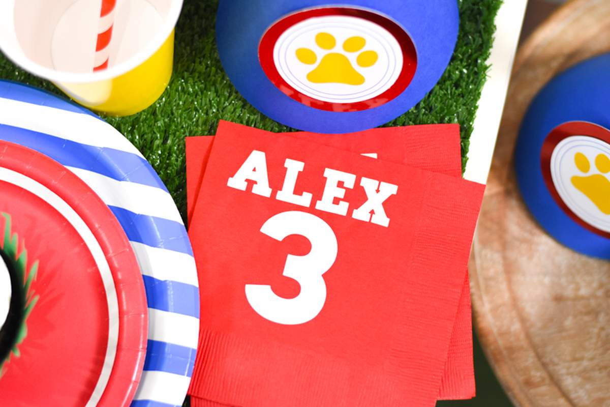 Paw Patrol Birthday Party Ideas | Photo 6 of 14 | Catch My Party