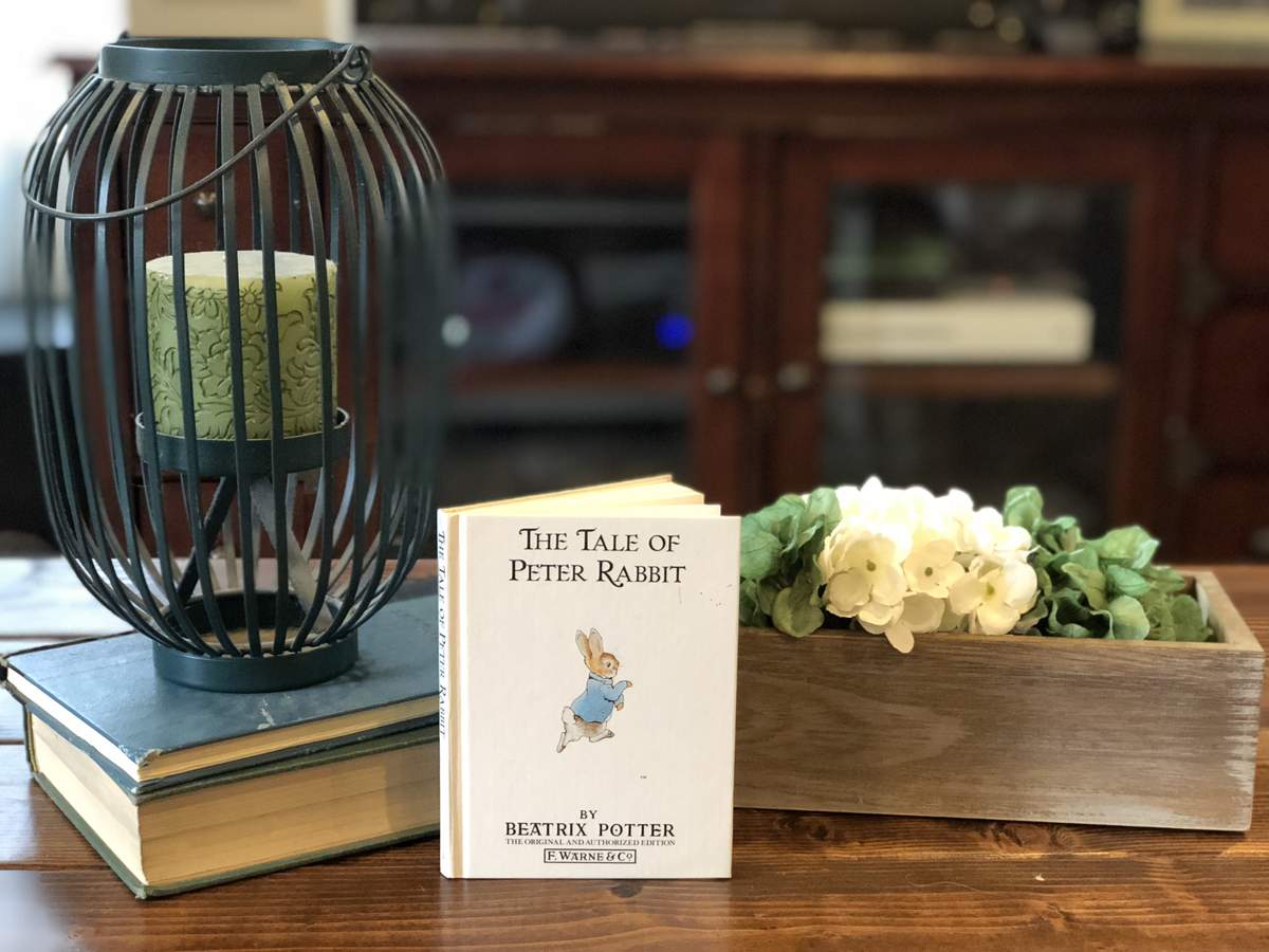 Chantel’s Peter Rabbit baby shower  - Peter Rabbit 